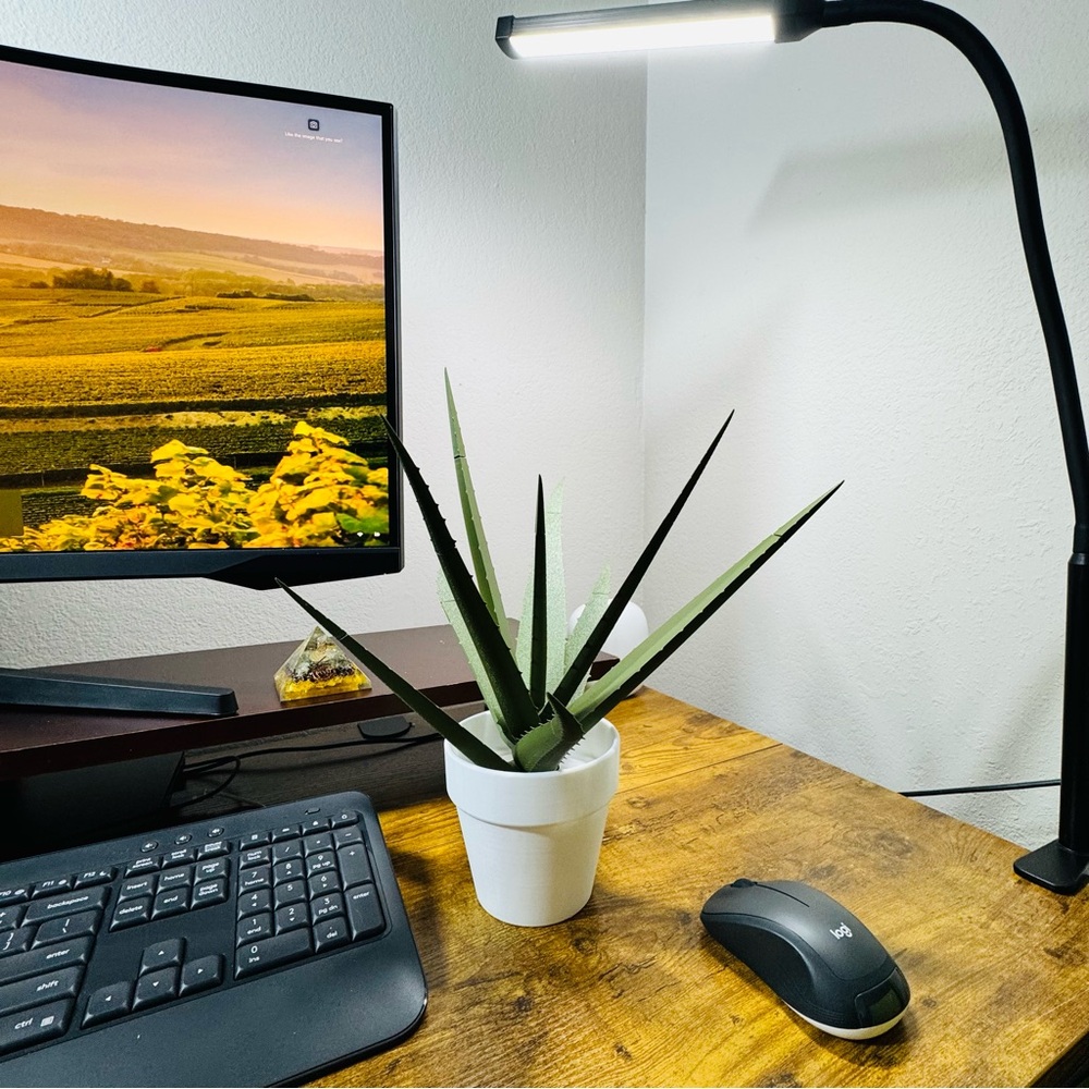 3D-Printed Aloe Vera Pen Set | Unique Desk Decor - Picture 3 of 7